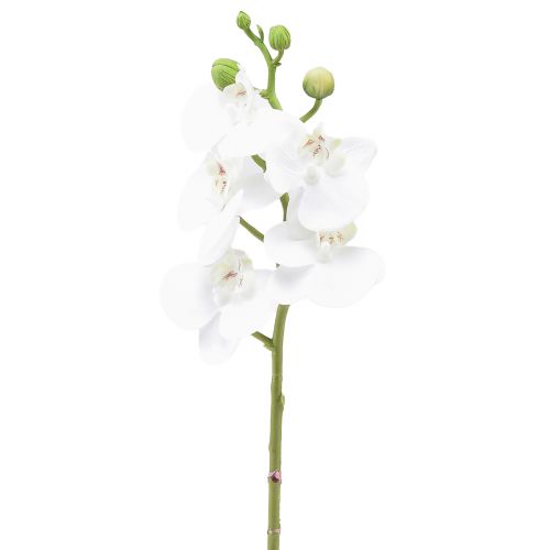 Biała sztuczna orchidea Phalaenopsis Real Touch 32cm