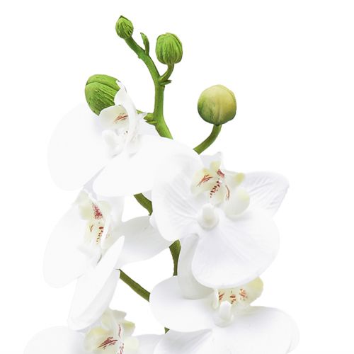 Produkt Biała sztuczna orchidea Phalaenopsis Real Touch 32cm