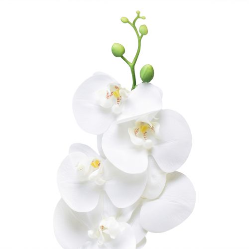 Produkt Biała sztuczna orchidea Phalaenopsis Real Touch 85cm