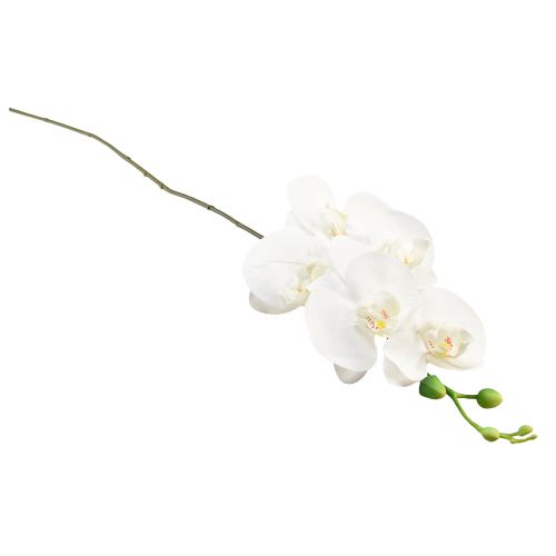 Produkt Biała sztuczna orchidea Phalaenopsis Real Touch W83cm