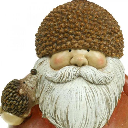 Floristik24 Chochlik z żołędziem i jeżem Dekoracyjna figura jesienny brąz W19cm