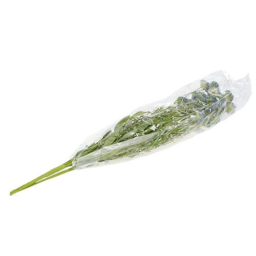 Floristik24 Kwiaty polne niebieskie L65cm 3szt