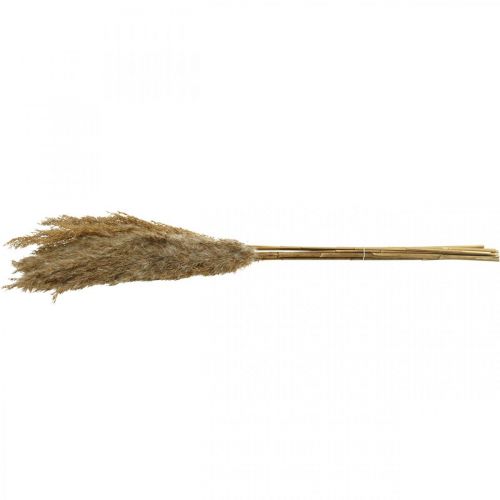 Produkt Turzyca sucha trawa naturalna sucha dekoracja 75cm 10 szt