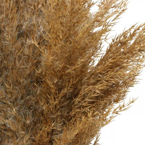 Produkt Turzyca sucha trawa naturalna sucha dekoracja 75cm 10 szt