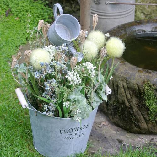 Floristik24 Wildflower Bundle Yarrow Natural, White Washed 30-60cm 150g