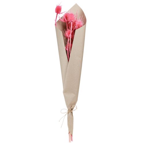 Produkt Ostrożeń polny suchy ostrożeń różowy 53cm 10 główek 3 szt