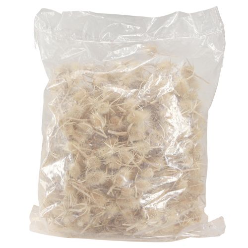 Produkt Karbon dziki bielony suszony naturalny dekoracja 3-6cm 1kg