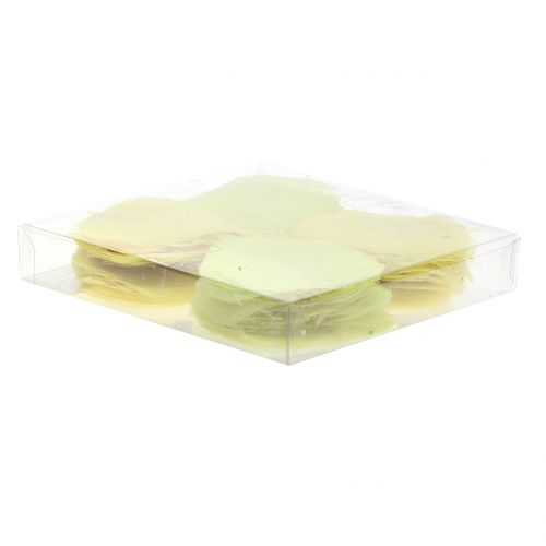 Floristik24 Liście wierzby szkieletowane żółte mix 200 szt