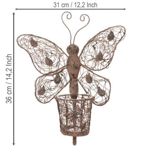 Latarnia metalowa, dekoracja ścienna, motyl, wykończenie rdzawe, 36,5 cm | Floristik24.pl