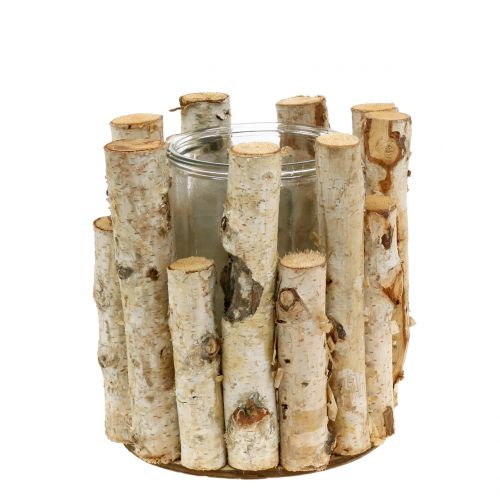 Floristik24 Latarnia brzoza Ø17cm H17cm
