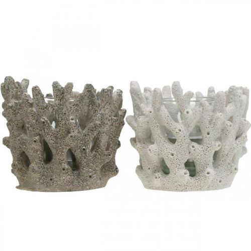 Floristik24 Latarnia ze szkłem w stylu koralowym dekoracja morska biała sztuczna Ø9,5cm 2szt