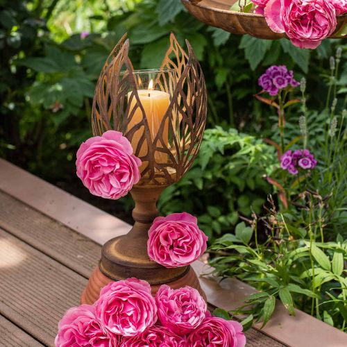 Floristik24 Latarnia o wyglądzie rdzy, świecznik na tealighty retro Ø13cm W30cm