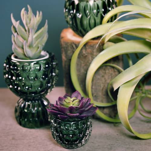 Floristik24 Lampion szklany ciemnozielony Ø11,5cm H9cm 1szt.