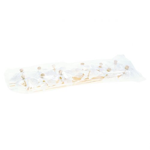 Floristik24 Wiatrak Mini Biały Ø9cm 12szt.