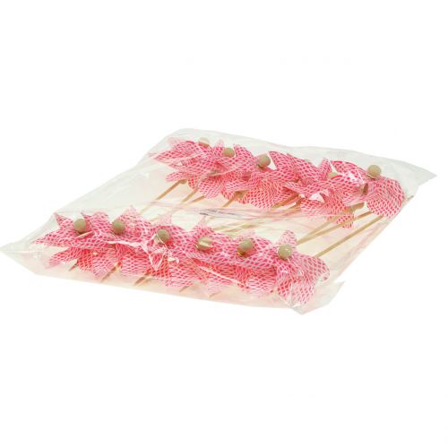 Floristik24 Wiatraczek Mini czerwono-biały Ø9cm 12szt.