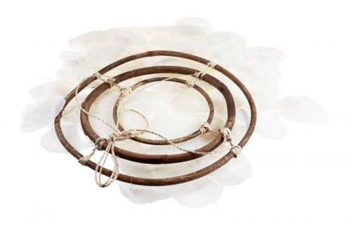 Floristik24 Dzwonek wietrzny Dzwonek morski Muszle Capiz naturalne 90cm