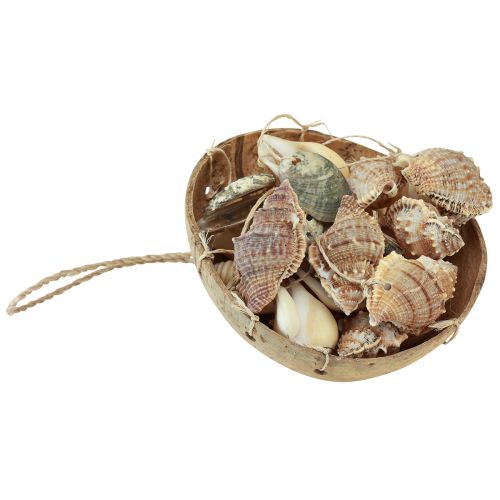 Produkt Dzwonek wietrzny dekoracja morska z naturalnym kokosem Ø12,5cm 48cm