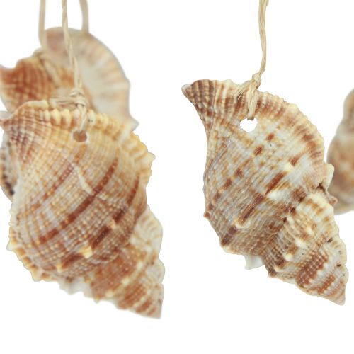 Produkt Dzwonek wietrzny dekoracja morska z naturalnym kokosem Ø12,5cm 48cm