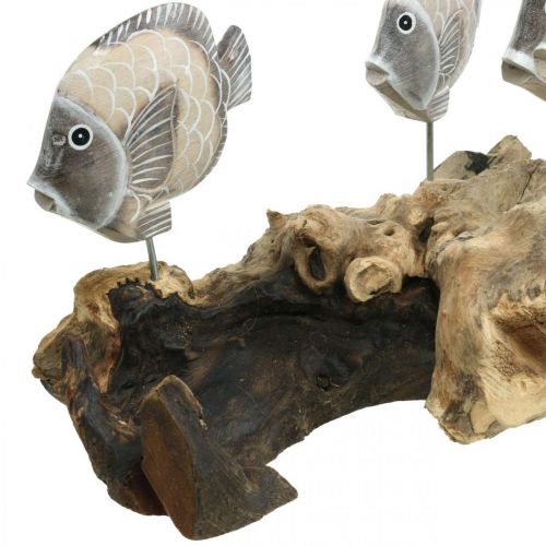 Produkt Dekoracyjna ryba na korzeniach Morskie figury dekoracyjne Brąz 38cm