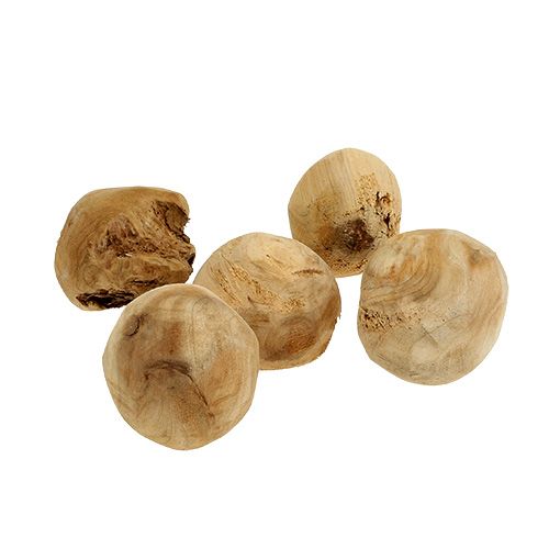 Floristik24 Bryła korzeniowa drewno jodłowe Ø7cm naturalne 5 szt