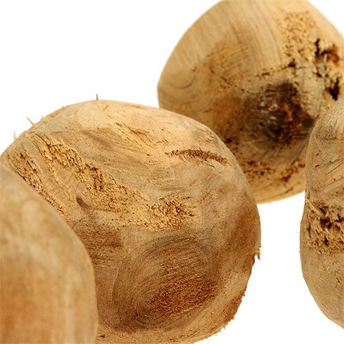 Floristik24 Bryła korzeniowa drewno jodłowe Ø7cm naturalne 5 szt