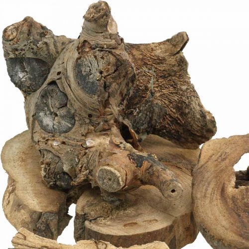 Floristik24 Root wood deco kawałki drewna dekoracja rozproszona 3-10cm 500g