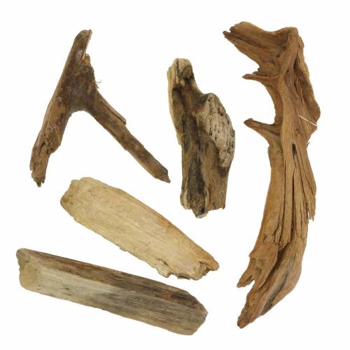 Floristik24 Deco Wood and Root Brown 1kg
