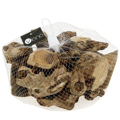Floristik24 Kawałki korzeni natura 500g