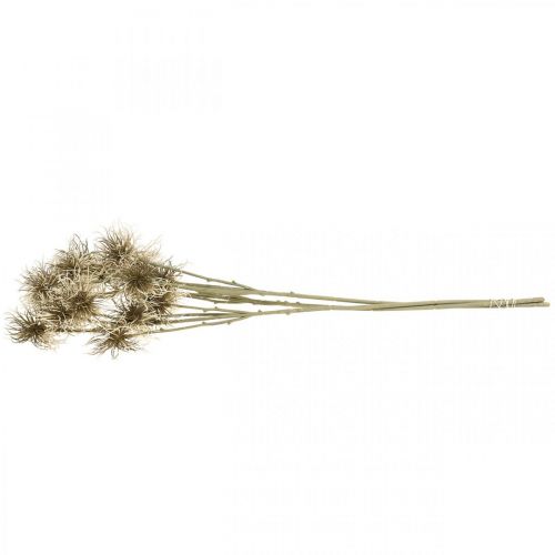 Produkt Xanthium sztuczny kwiat jesienna dekoracja 6 kwiatów kremowy, brązowy 80cm 3szt
