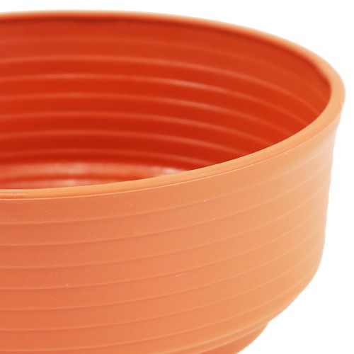 Produkt Miska plastikowa Z Ø 16cm - 22cm 10 szt