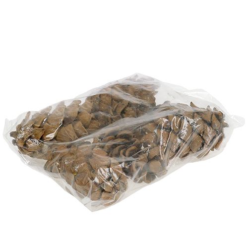 Floristik24 Szyszki naturalne 9cm - 10cm 6 szt