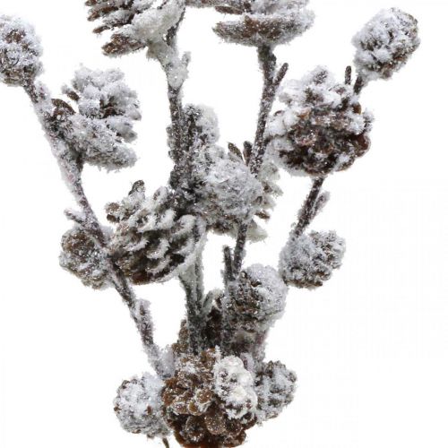 Gałązki bożonarodzeniowe Gałązka stożkowa Snowed 30 cm 5 sztuk w pęczku