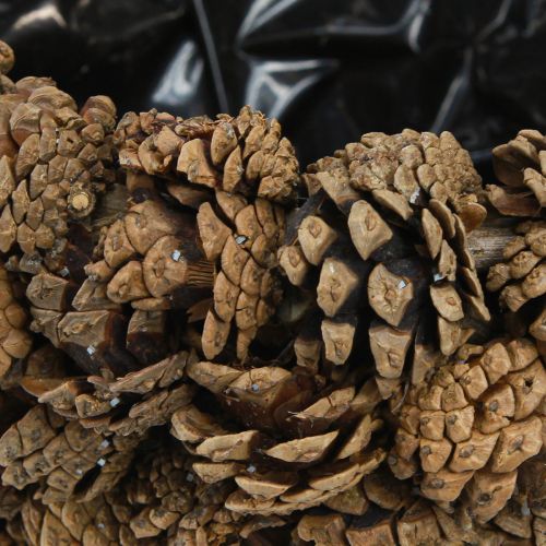 Produkt Koszyczek na rośliny z szyszek sosnowych naturalny Ø33cm H17cm