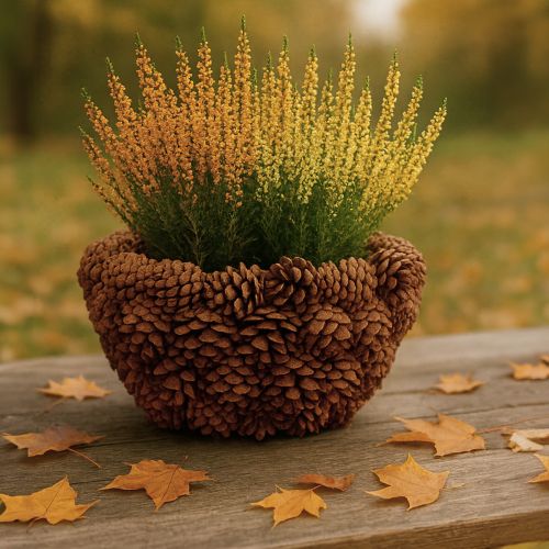 Produkt Koszyczek na rośliny z szyszek sosnowych naturalny Ø33cm H17cm