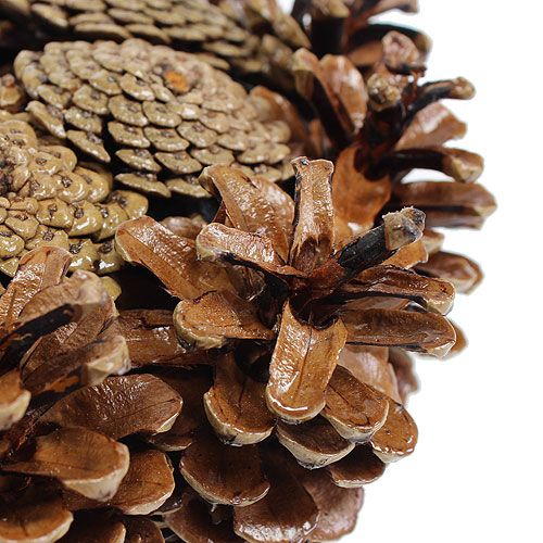 Floristik24 Wianek w kształcie stożka malowany Ø25cm