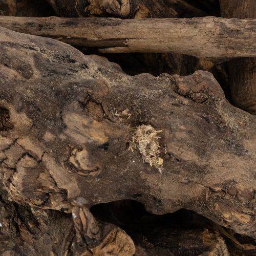 Produkt Urocze, dekoracyjne, drewniane korzenie do Twojego domu