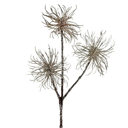 Produkt Gałązka oczaru wirginijskiego szampańska 45cm 3 szt
