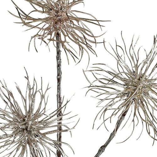 Produkt Gałązka oczaru wirginijskiego szampańska 45cm 3 szt