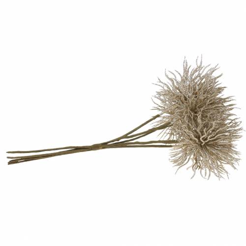 Floristik24 Sztuczny szampan z powojników z brokatem 32cm 5szt