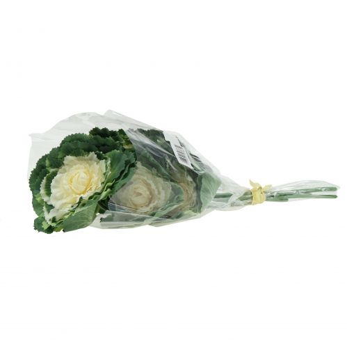 Floristik24 Kapusta ozdobna sztuczna biała, zielona 25cm 6szt.