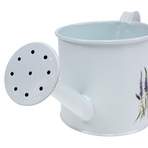 Floristik24 Konewka cynkowa Ø10,5cm H10cm z lawendą