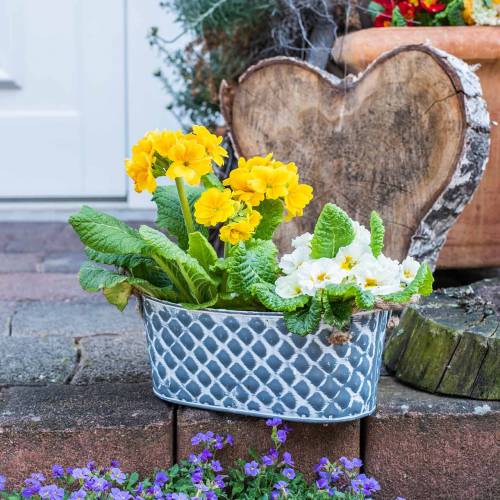 Floristik24 Miska cynkowa romb z uchwytami linowymi owal 32cm wys. 15cm