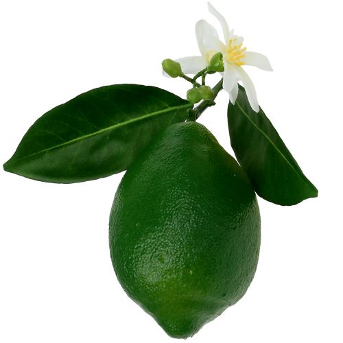 Cytryny z kwiatkiem 9,5cm zielone 4szt
