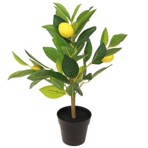 Floristik24 Drzewko cytrynowe sztuczne drzewko cytrynowe w doniczce wys. 40cm