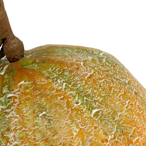 Floristik24 Dekoracyjna melonowa kantalupa Ø14cm