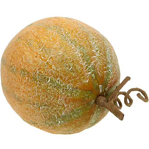 Floristik24 Dekoracyjna melonowa kantalupa Ø14cm