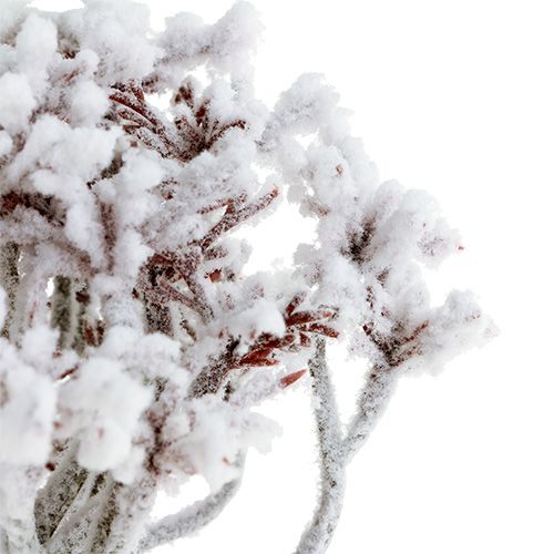 Floristik24 Gałązka ze śniegiem 22cm 3szt.