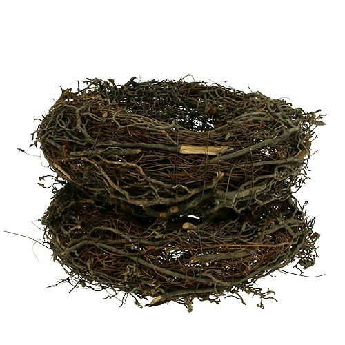 Floristik24 Wianek z gałęzi Ø25cm 2szt. Natura