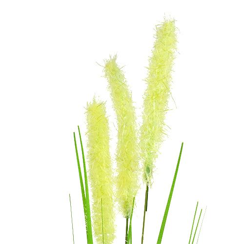 Floristik24 Trawa cebulowa 68cm Zielona 6szt