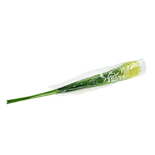 Floristik24 Trawa cebulowa 68cm Zielona 6szt
